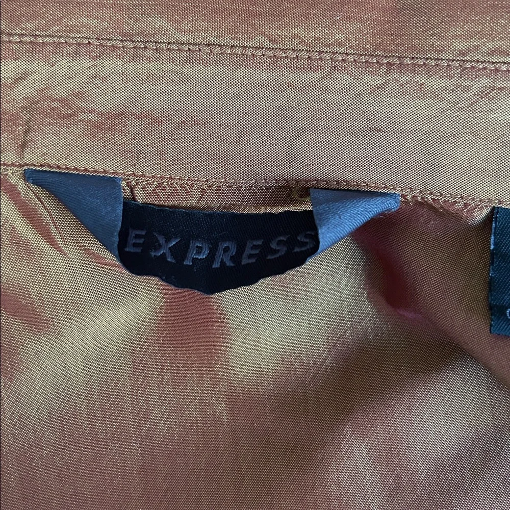 Express Shiny Gold/Copper Raw Silk Blouse sz 5/6 (M) - Picture 7 of 8